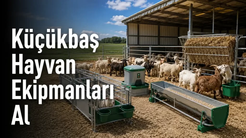 Küçükbaş Ekipmanları Satın Al