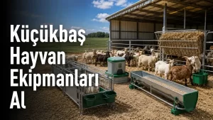 Küçükbaş Ekipmanları Satın Al
